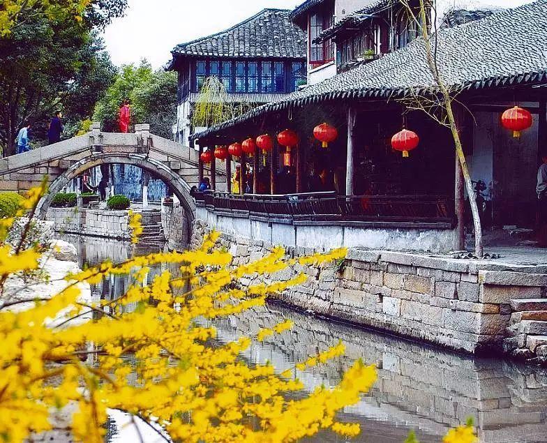 大象起舞,A股疯涨!回顾去年的救市失败,这次能兜住底吗?